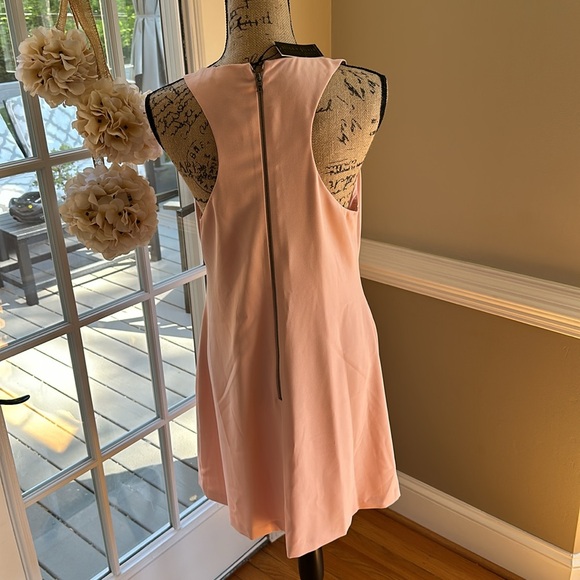 Alice + Olivia NWT blush lined dress size 10, measurements in description - Picture 2 of 4